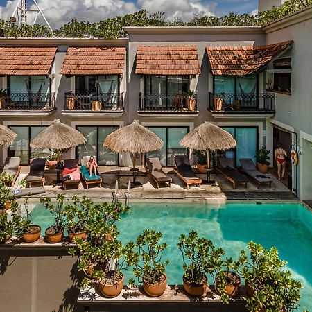 Caribbean Paradise Hotel & Spa - 5Th Avenue Playa del Carmen Exterior photo