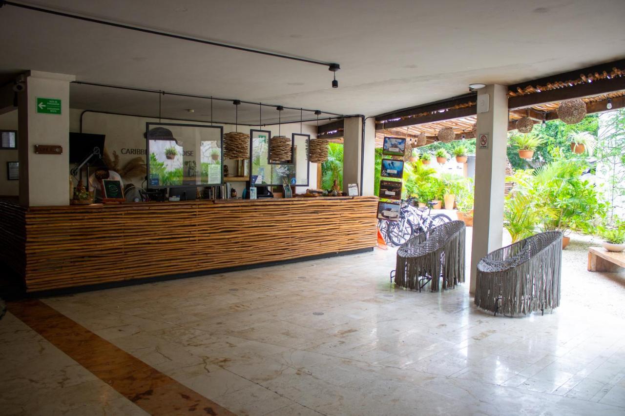 Caribbean Paradise Hotel & Spa - 5Th Avenue Playa del Carmen Exterior photo