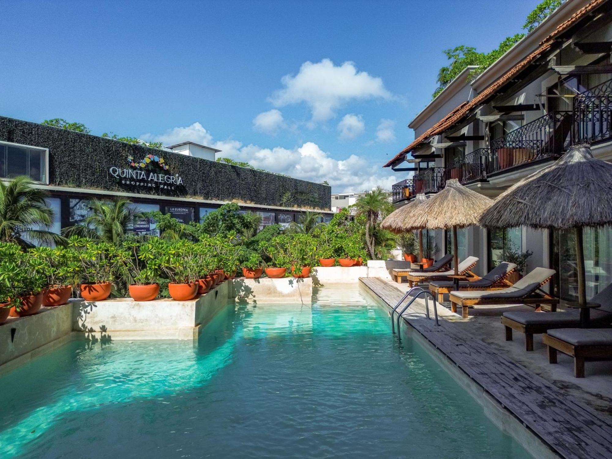 Caribbean Paradise Hotel & Spa - 5Th Avenue Playa del Carmen Exterior photo